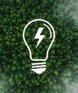 Bio fuels and energy diversification